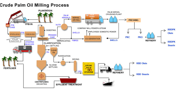 Oil Processing Mill