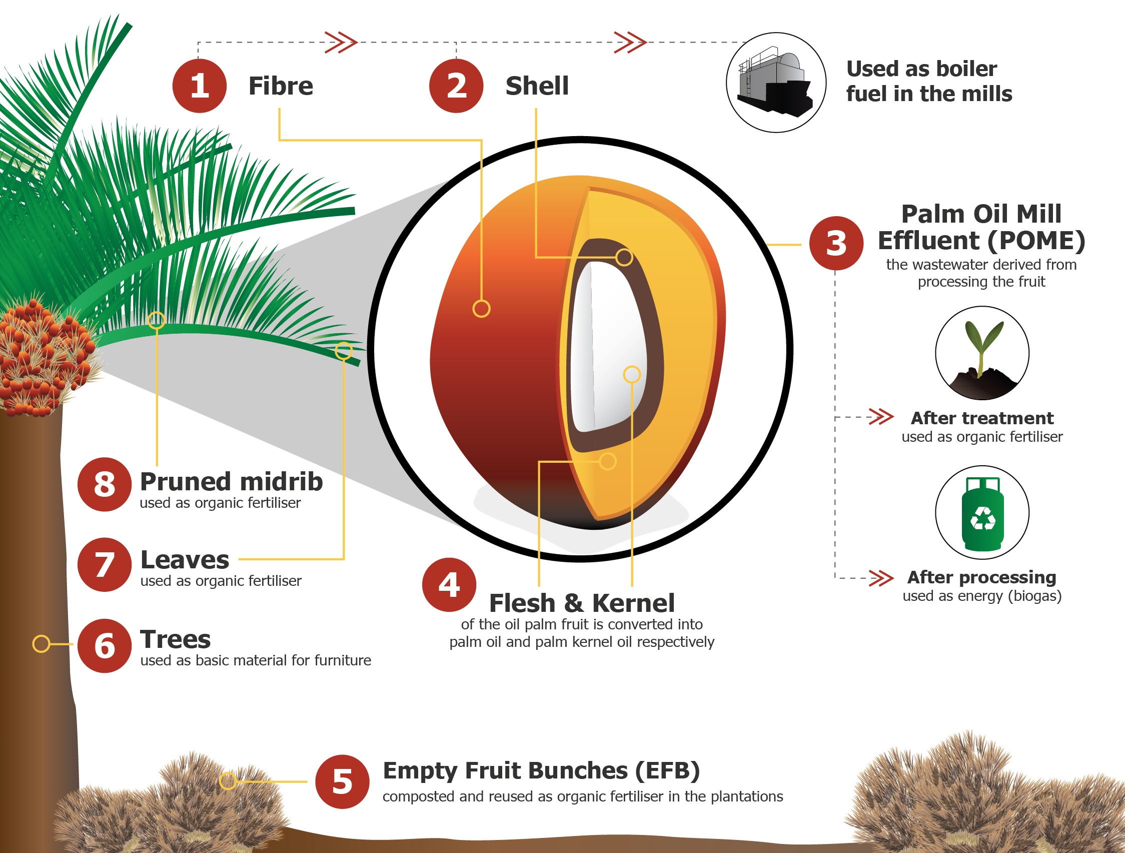 By-products Processing