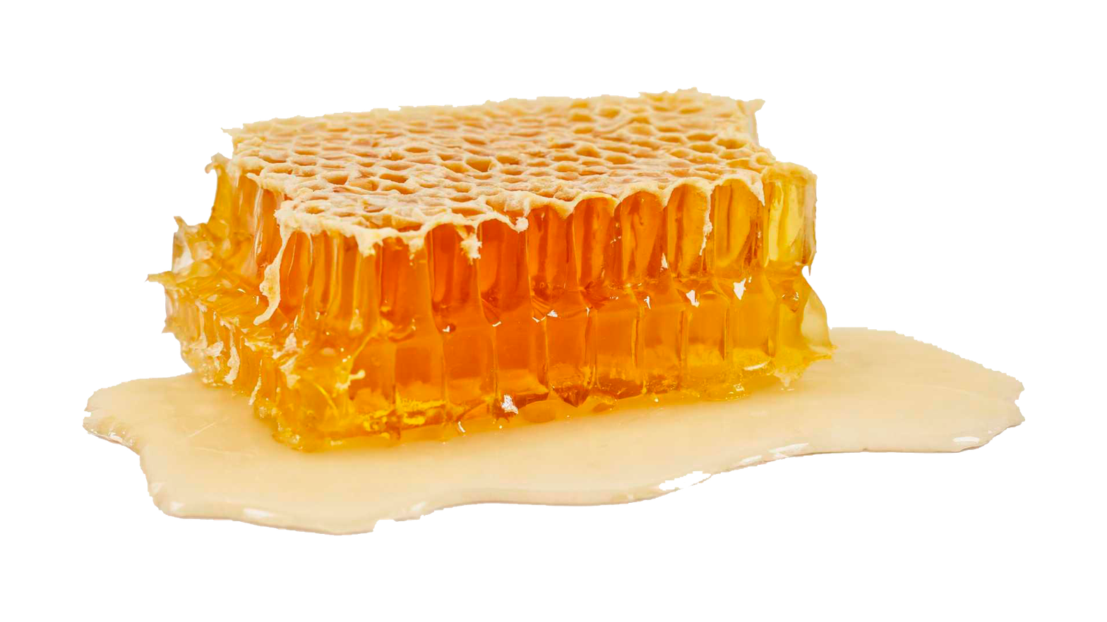 Honey Production Process
