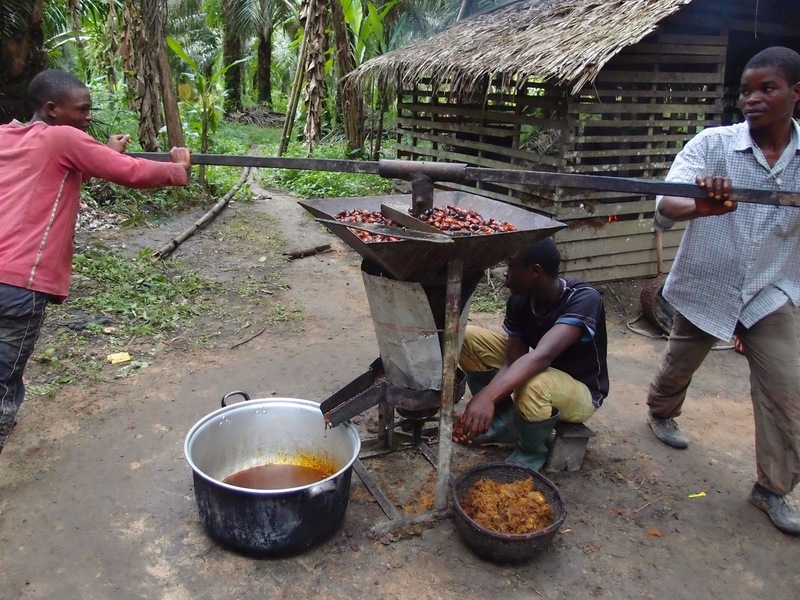 Palm oil processing