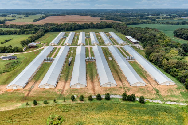 Poultry houses aerial view
