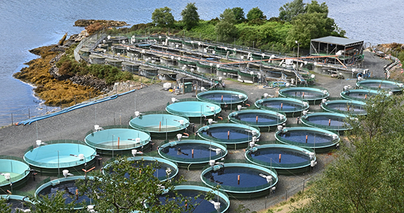 Aquaculture facilities