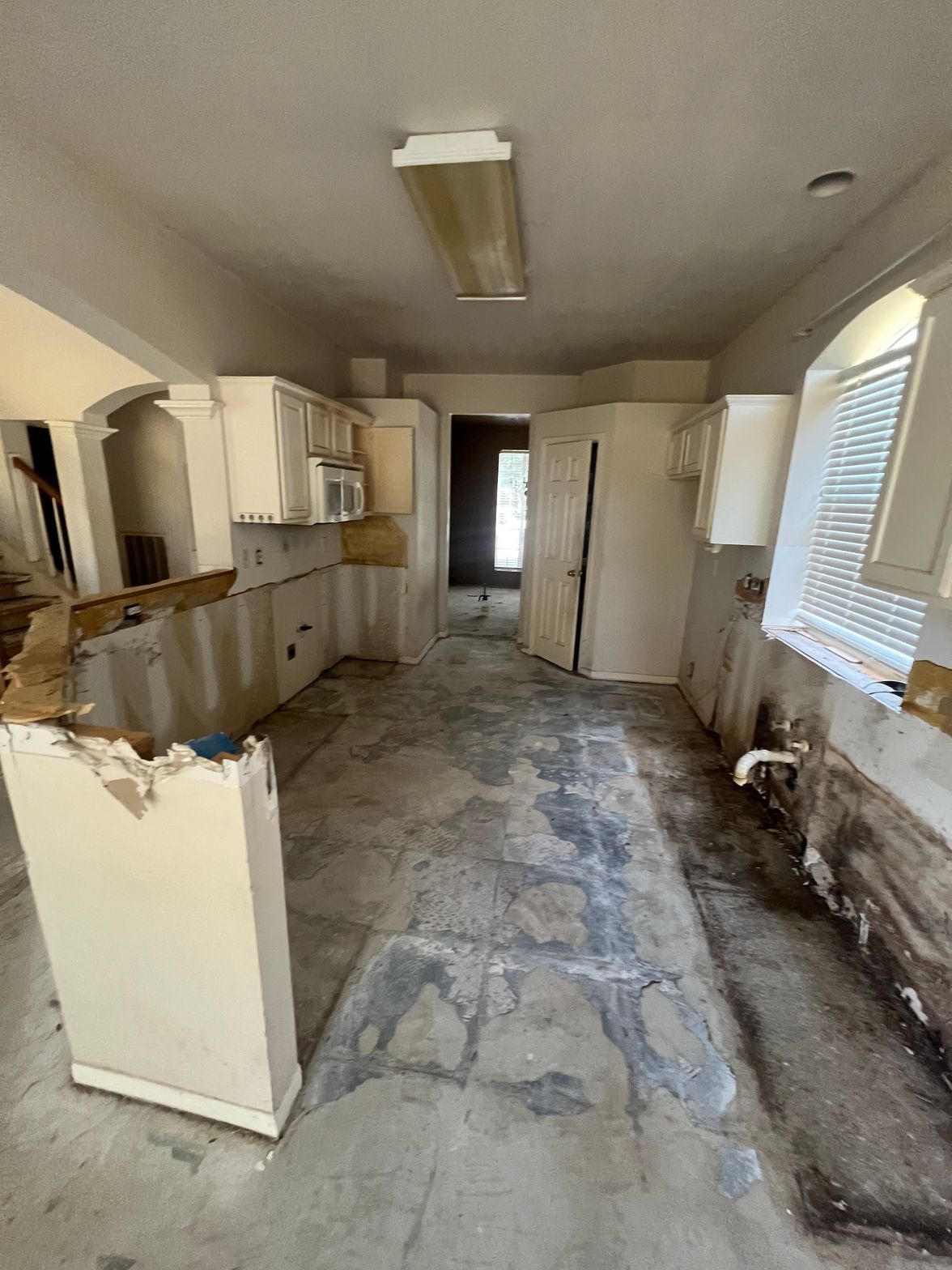 Laurel Rose Project - Before