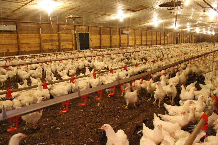 Processing Facilities