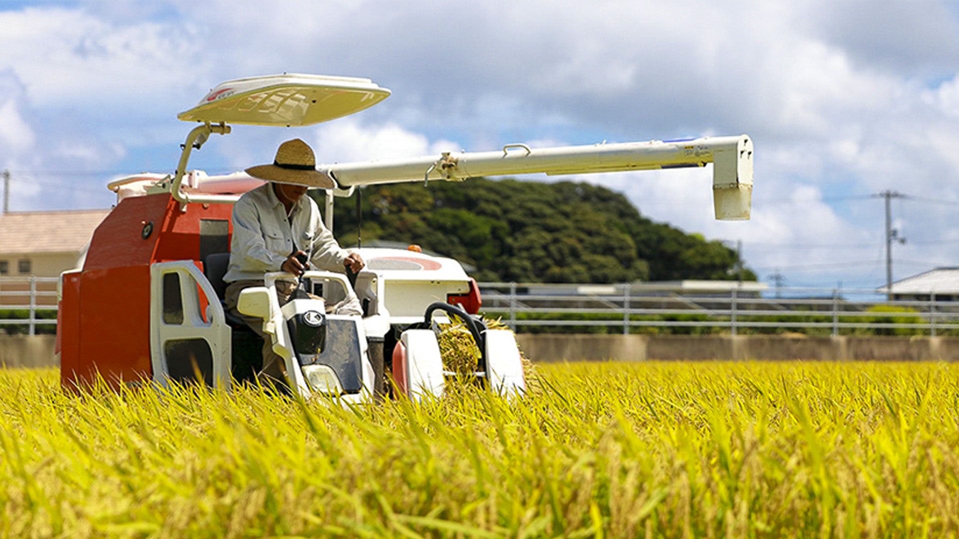 Rice Production Catalog
