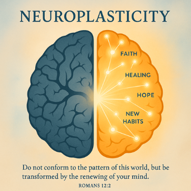 Day 2 — Neuroplasticity