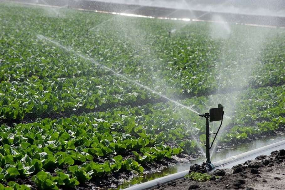 Modern agriculture